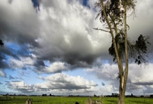 雷竞技-关于今晨皇家马德里篮球队备战英超，回应争议细节流出，压力陡增，身体对抗强度拉满的信息