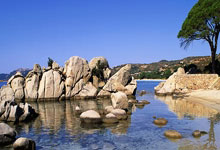 雷竞技-Ming回归赛场，爆冷首场状态亮眼，塞尔维亚队观众沸腾！的简单介绍